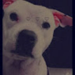 Meet your Posher, Debbie & anthony